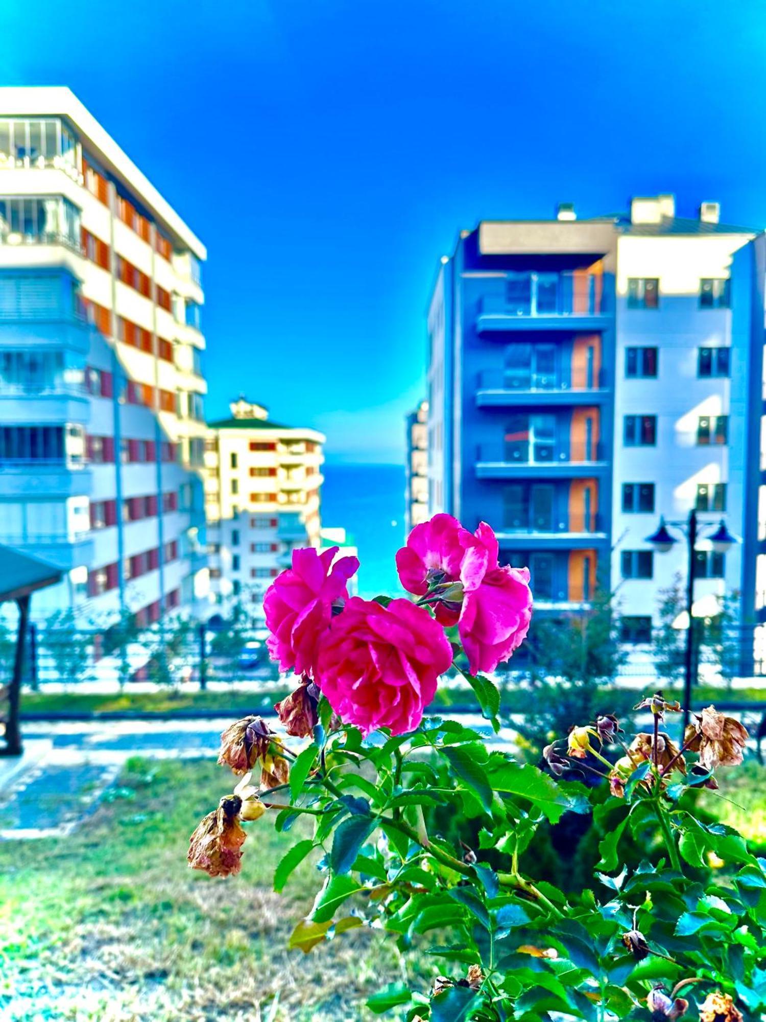 Bazalt Apart Hotel Trabzon Buitenkant foto